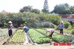 Nhiều chỉ tiêu thực hiện nghị quyết đại hội đại biểu phụ nữ các cấp đạt và vượt kế hoạch