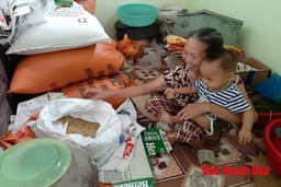 Lúa “ông tướng”