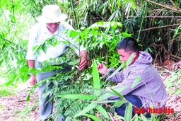 Nâng cao tính đa dạng sinh học ở Vườn Quốc gia Bến En