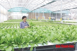 Ứng dụng khoa học công nghệ trong sản xuất nông nghiệp ở huyện Đông Sơn