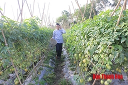 Sáp nhập đơn vị hành chính cấp xã – thêm nguồn lực phát triển