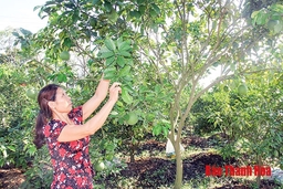 Phát triển kinh tế trang trại ở thị xã Bỉm Sơn