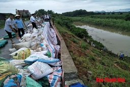 Khẩn trương khắc phục sự cố sạt đê hữu sông Chu qua xã Thọ Hải