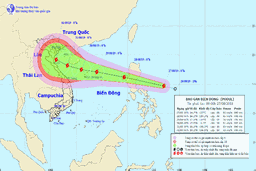 Tin bão gần biển Đông (Cơn bão Podul)