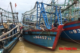 Huyện Quảng Xương: Hơn 800 tàu thuyền đã cập bến tránh bão an toàn