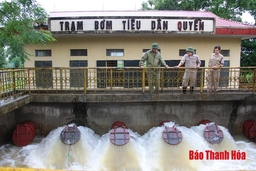 5.447 ha cây trồng bị ngập do mưa lớn