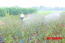 Yên Trường - nơi Bác về thăm