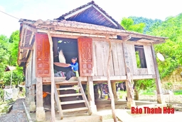 Bảo tồn nhà sàn truyền thống của người Mường ở xã Thạch Lâm