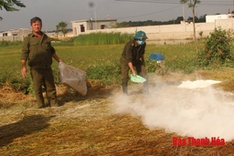 Nhiều địa phương trong tỉnh tái phát bệnh dịch tả lợn Châu Phi