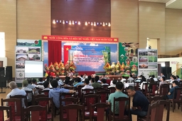 Xây dựng mô hình sản xuất, kinh doanh tre luồng bền vững  tại Thanh Hóa  