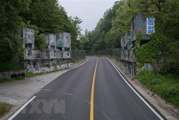 Con đường Hòa bình DMZ thu hút hơn 10.000 lượt khách thăm quan