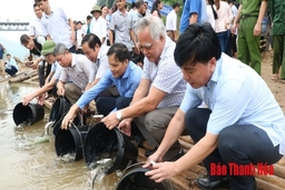 Hơn 1,8 tấn cá giống được thả xuống Sông Mã ở Quan Hóa