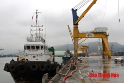 Vướng mắc về mặt bằng thực hiện Dự án Cảng tổng hợp quốc tế Nghi Sơn