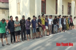Cần xử lý nghiêm các đối tượng trộm chó
