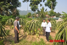 Sẽ có  chính sách khuyến khích tích tụ, tập trung đất đai để phát triển nông nghiệp quy mô lớn, ứng dụng công nghệ cao