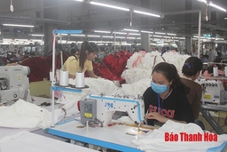 Giá trị xuất khẩu trên địa bàn huyện Nga Sơn đạt 80,2 triệu USD