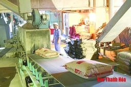 Thu ngân sách Nhà nước đạt 19.727 tỷ đồng tăng 47% so với cùng kỳ