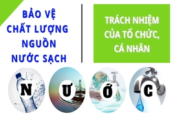 [Infographics] - Bảo vệ nguồn nước sinh hoạt: Trách nhiệm của các tổ chức, cá nhân