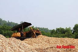 Giá trị hàng hóa xuất khẩu huyện Cẩm Thủy vượt 19% kế hoạch năm