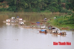 Khôi phục phát triển thủy sản sau mưa lũ