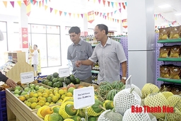 Huyện Thọ Xuân xây dựng các chuỗi cung ứng thực phẩm an toàn