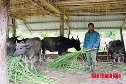 Đa dạng hóa sinh kế cho người dân vùng đặc biệt khó khăn, đồng bào dân tộc thiểu số