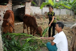 Huyện Nông Cống có 50% số xã đạt chuẩn nông thôn mới