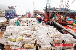 Tăng cường quản lý khai thác hải sản theo các quy định của Ủy ban Châu Âu