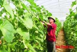 Huyện Hoằng Hóa chuyển đổi được 760 ha đất trồng lúa hiệu quả kinh tế thấp