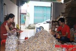 Mỗi xã một sản phẩm – nhìn từ huyện Thọ Xuân