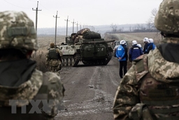 Nga, Đức muốn Ukraine trao quy chế đặc biệt cho Donbass