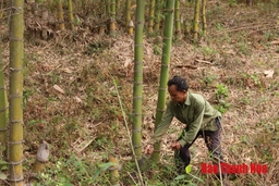 Huyện Quan Hóa thực hiện công tác xóa đói, giảm nghèo gắn với xây dựng nông thôn mới