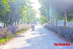 Dân vận khéo trong xây dựng nông thôn mới ở huyện Thiệu Hóa