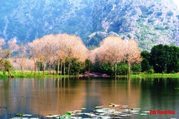 Kim Sơn non nước hữu tình