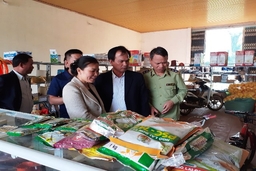 Tăng cường giám sát quản lý, sản xuất, kinh doanh, sử dụng vật tư nông nghiệp