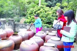 Nâng cao chất lượng hoạt động sở hữu trí tuệ
