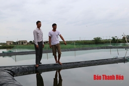 Huyện Hoằng Hóa chuyển đổi 405 ha diện tích trồng lúa kém hiệu quả