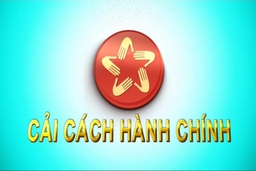 Ban hành Kế hoạch cải cách hành chính năm 2020