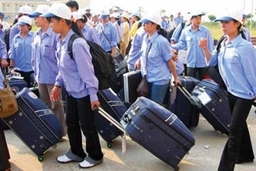 Tăng cường quản lý công tác đưa người lao động đi làm việc ở nước ngoài