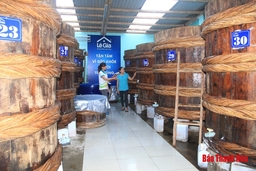 Công nhận 13 sản phẩm OCOP tỉnh Thanh Hóa năm 2019