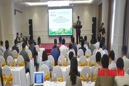 Tham vấn các giải pháp liên quan đến Đề án  giảm phát thải và chuyển quyền giảm phát thải vùng Bắc Trung Bộ