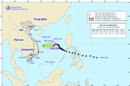 Bão số 8 suy yếu và sẽ thành vùng áp thấp vào ngày 29/12