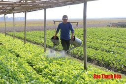 Phát huy vai trò HTX trong phát triển nông nghiệp ở huyện Thọ Xuân