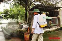 Có 5 huyện, thị xã và 316 xã công bố hết bệnh dịch tả lợn Châu Phi