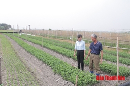 TP Thanh Hóa “cán đích” nhiều chỉ tiêu về kinh tế - xã hội