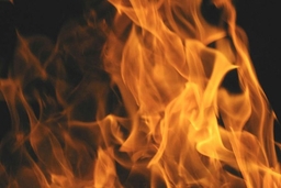 Hỏa hoạn khiến gần 10 người thiệt mạng tại trang trại nhà kính ở Nga