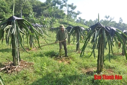 Huyện Bá Thước phát huy vai trò của hệ thống tuyên giáo cơ sở