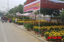 20 điểm chợ hoa xuân trong dịp Tết Nguyên đán Cánh Tý 2020 tại TP Thanh Hóa