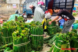 Lá dong rừng giá cao vẫn đắt hàng ngày Tết