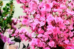 Tràn ngập hoa giả tiền triệu trang trí Tết